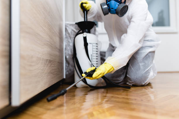 Best Flea Control Services  in Bethlehem, WV