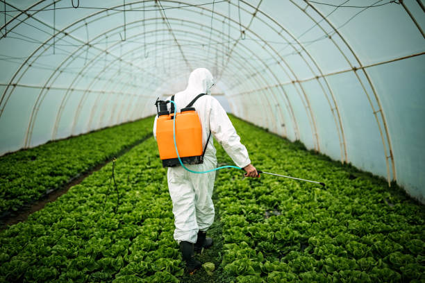 Best Best Pest Control Companies  in Bethlehem, WV