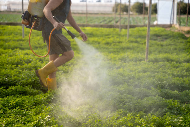 Best Pest Removal Services  in Bethlehem, WV