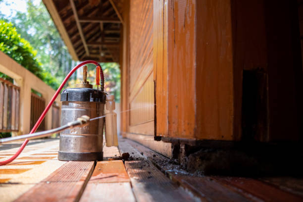 Best Local Pest Control Services  in Bethlehem, WV