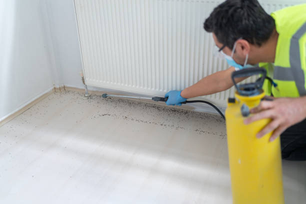 Best Affordable Pest Control Services  in Bethlehem, WV